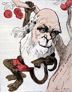 Caricatura de Charles Robert Darwin (1809 - 1882) en "La Lune"
