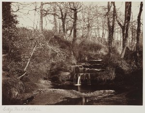 Edge Park, Cheshire, c.1865 (impresión a la albúmina a partir de negativo de cristal)
