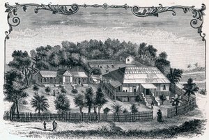 Vista exterior de la rectoría y la escuela de Hell Ville (Hell-Ville) (Andoany), capital de la isla de Nosy Be en Madagascar. Grabado en “Les Missions Catholiques au XIXeme Siecle” de Louis-Eugene Louvet. Colección privada. de Anonymous Anonymous