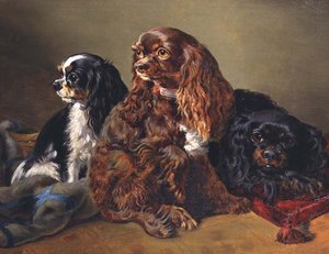 Spaniels del Rey Carlos de Anonymous Anonymous
