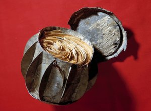 Les Boules de Moulins: esferas de zinc usadas en el sitio de París en 1870 para transmitir correo que los parisinos ya no podían recibir. Fueron arrojadas al Sena y recuperadas por los habitantes de Anonymous Anonymous