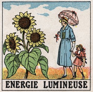 Energía luminosa: el girasol es influenciado por la luz solar. Ilustración anónima de 1925. Colección privada. de Anonymous Anonymous