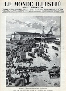 Comercio marítimo: desembarco de una llegada de codornices de Egipto en el puerto de Marsella. Un periódico. Grabado en 