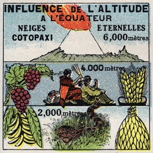Meteorología: influencia de la altitud en el clima. Ilustración anónima de 1925. Colección privada.