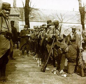 Fotografía - Placa de vidrio estereoscópica sobre la Primera Guerra Mundial: Una revisión detallada