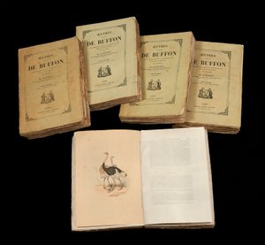 Las obras completas de Buffon (1707 - 1788) de Anonymous Anonymous