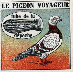 La oficina de correos: el viajero paloma. Ilustración anónima de 1925. Colección privada.