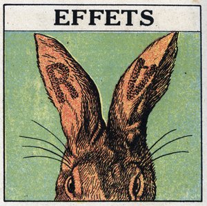 Rayos ultravioleta: efectos. Cubrimos las orejas de un conejo con cartón negro o cortamos las letras R y V, luego exponemos al animal a los rayos ultravioleta de una lámpara de mercurio: las orejas muestran rastros de quemaduras idénticas a las de una quem