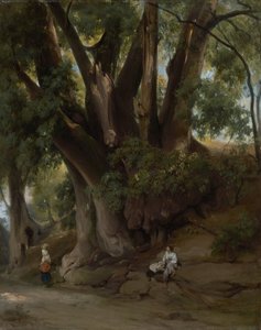 Treescape italiano (carretera en Albano) de Anselm Feuerbach