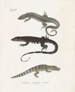  de Anstalt Arnz & Co.