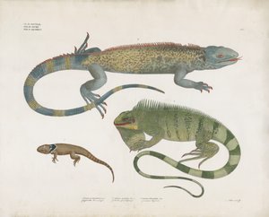  de Anstalt Arnz & Co.