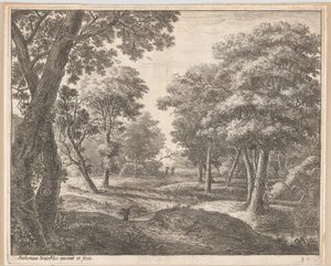 Un Camino a Través del Bosque, siglo XVII de Anthonie Waterloo