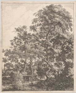 Un pequeño puente sobre un arroyo, siglo XVII de Anthonie Waterloo