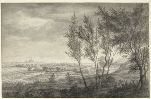 Vista de Haarlem desde las dunas de Anthonie Waterloo