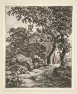 Los dos viajeros descansando en el bosque.