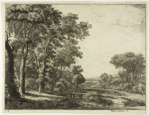 La entrada al bosque por el puentecito de madera