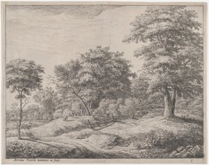 El pastor dormido en una pequeña colina, siglo XVII de Anthonie Waterloo
