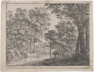 Los bosques recortados de Anthonie Waterloo