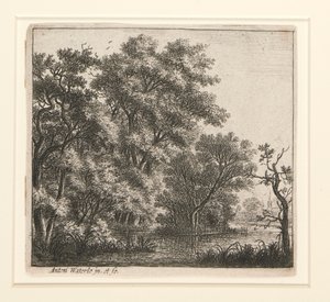 la isla boscosa de Anthonie Waterloo