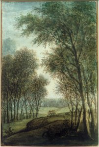 Borde del bosque de Anthonie Waterloo