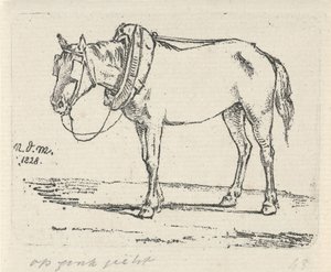 caballo inventado de Anthonie Willem Hendrik Nolthenius de Man