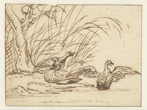 Tres patos en el paseo marítimo