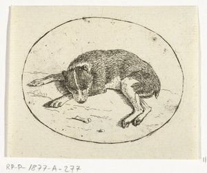 perro mentiroso