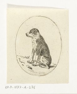 perro sentado de Anthonie van den Bos