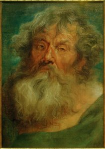Cabeza de un anciano de Anthony van Dyck