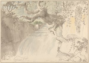 Cascada y tronco de árbol