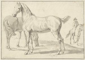 Dos caballos en un prado, un jinete a la derecha de Anthony Jacobus Offermans