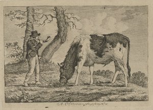 pastor con vaca Estudios de vacas, ovejas y cabras (título de la serie)
