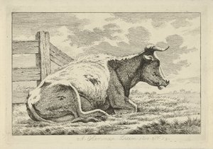 Vaca tumbada junto a una valla Estudios de vacas, ovejas y cabras (título de la serie)