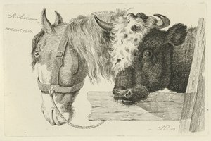 Cabeza de caballo y cabeza de toro Estudios de vacas, ovejas y cabras (título de la serie)