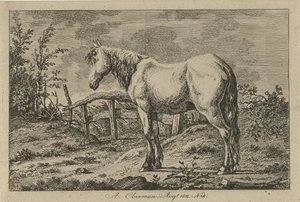 caballo de pie Estudios de vacas, ovejas y cabras (título de la serie) de Anthony Oberman