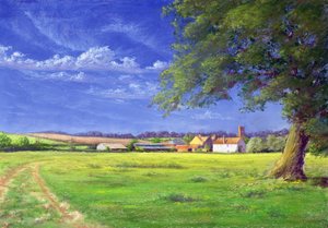 Campo de casa de Anthony Rule