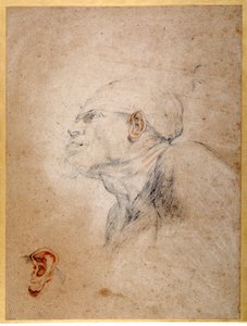 Cabeza de un hombre vendada, su oreja izquierda ensayada por separado de Anthony van Dyck