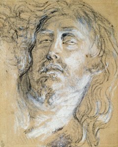 Cabeza de Cristo muerto de Anthony van Dyck