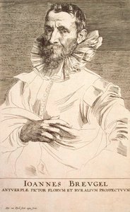 Retrato del artista Jan Brueghel el Joven 1601-1678 de Anthony van Dyck