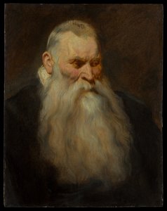 Estudio de cabeza de un anciano con barba blanca de Anthony van Dyck