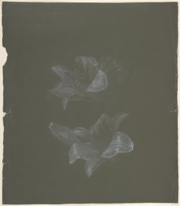 Diseño floral de Antoine Berjon