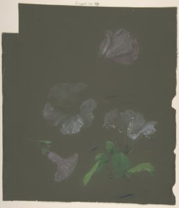 Diseño floral