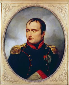 Retrato de Napoleón I (1769-1821), 1815