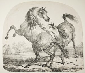 Caballos salvajes luchando, c.1820 de Antoine Charles Horace Vernet