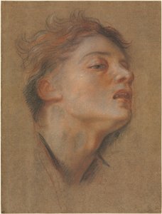 cabeza de un joven de Antoine Coypel
