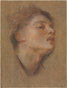 Cabeza de un Joven, 1715-1717 de Antoine Coypel
