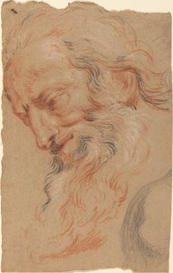 Cabeza de un anciano de Antoine Coypel