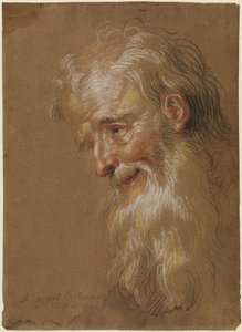 Cabeza de un anciano barbudo de Antoine Coypel