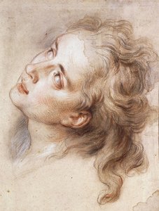 La Cabeza de un Ángel, Mirando hacia Arriba a la Izquierda de Antoine Coypel