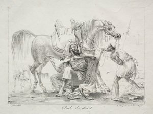 Árabe del desierto, 1817